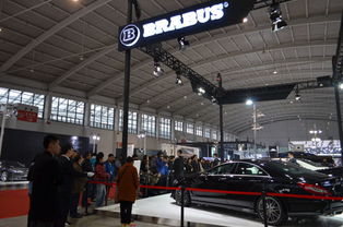 巴博斯三款熱賣車型登陸沈陽車展